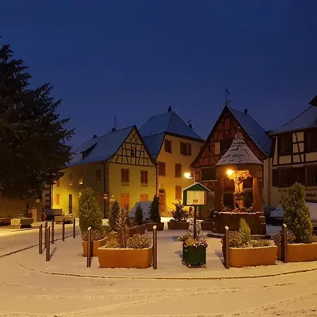 Naova Cosy Studio Kaysersberg-Vignoble Esterno foto