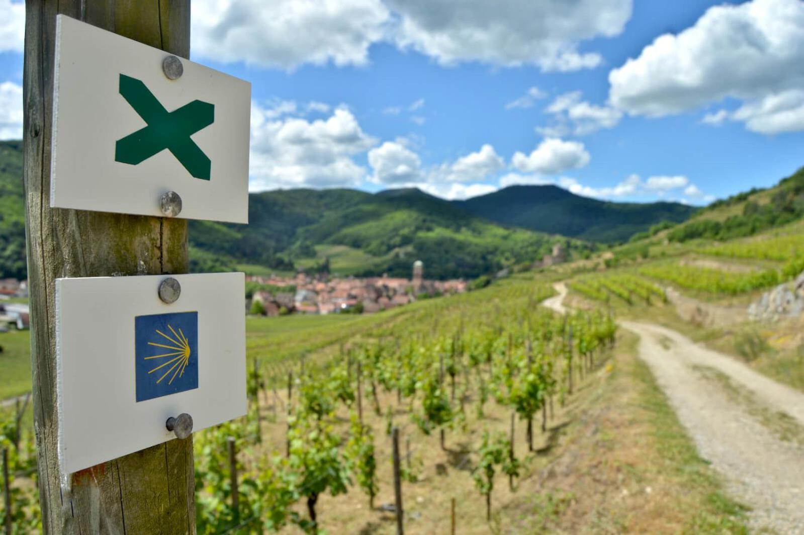 Naova Cosy Appartement Kaysersberg-Vignoble