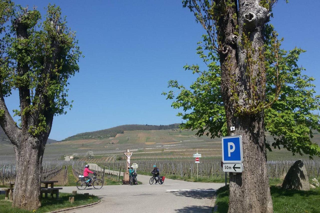 Apartment Naova Cosy Kaysersberg-Vignoble